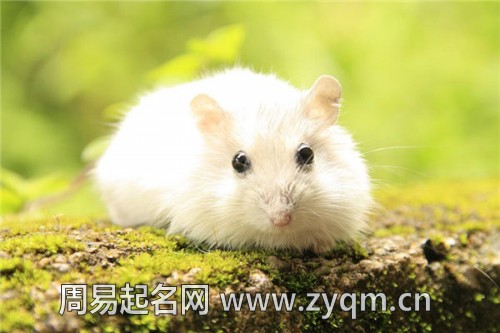 自带少年气｜清爽大气男孩起名推荐