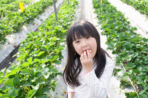 五行带金女孩名字招人喜欢 五行带金女孩名字招人喜欢