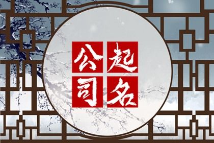 眼镜公司名字大全高端好听 视力保护响亮名称